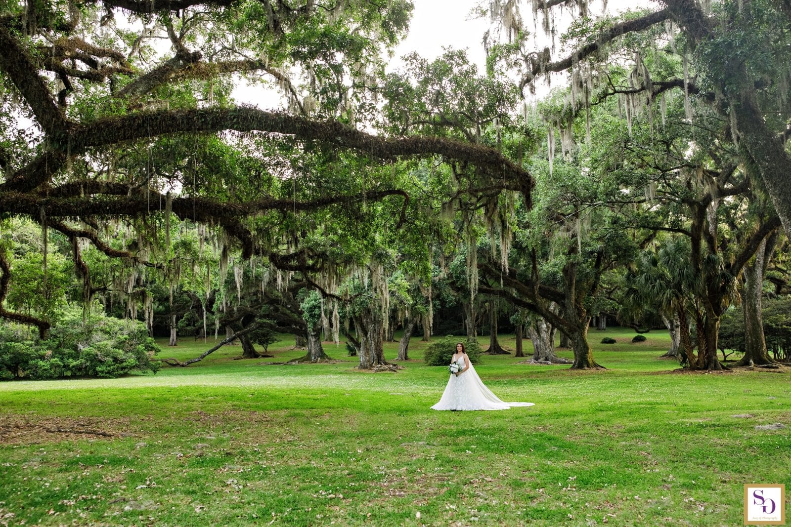 Alex Bridals Jungle Gardens At Avery Island Louisiana Bridal